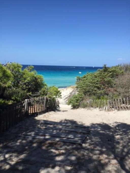 Appartement Tout Confort 2-4 Pers 500 M De La Plage Avec Piscine Et Wifi Santa-Maria-Poggio  Luaran gambar